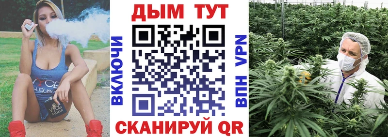 kraken ССЫЛКА  Шенкурск  Каннабис White Widow 